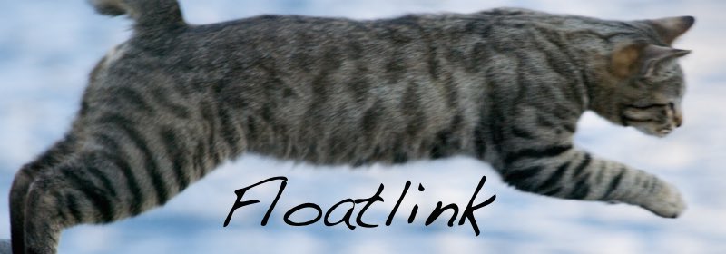 Floatlink.JP